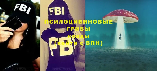 героин Лагань
