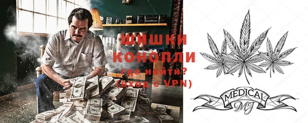 apvp Кукмор